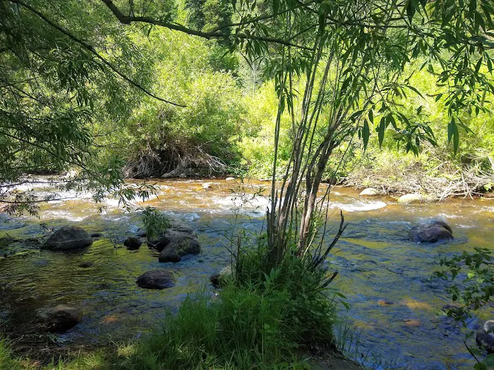 Red Banks Campground Picture 5