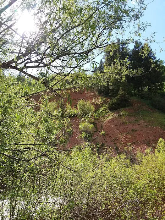 Red Banks Campground Picture 10