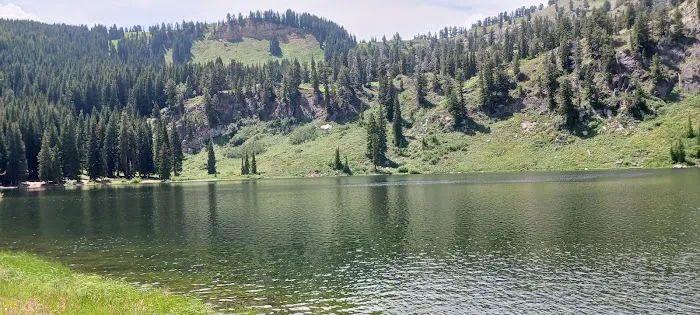 Lewis M. Turner Campground Picture 2