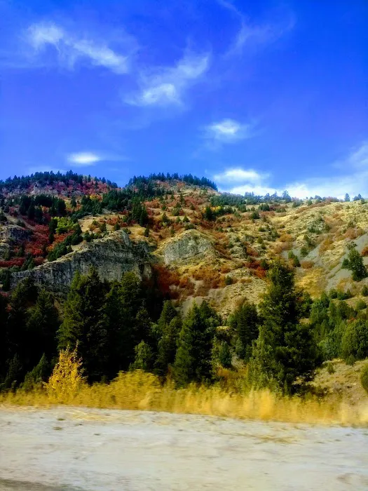 Lewis M. Turner Campground Picture 6