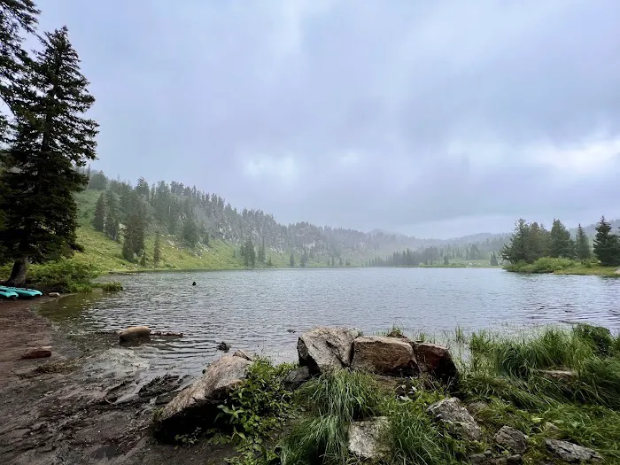 Lewis M. Turner Campground Picture 7