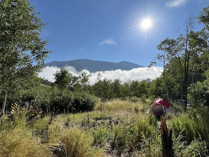 Lewis M. Turner Campground Picture 4