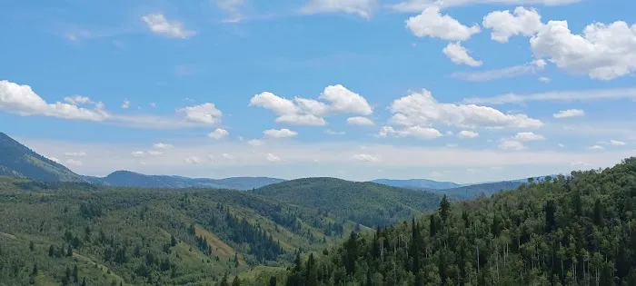 Lewis M. Turner Campground Picture 10