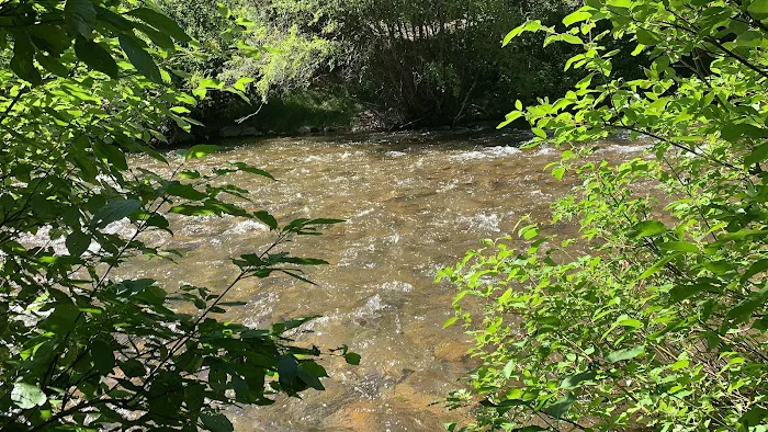 Wood Camp Campground Picture 1