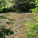 Wood Camp Campground