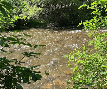 Wood Camp Campground