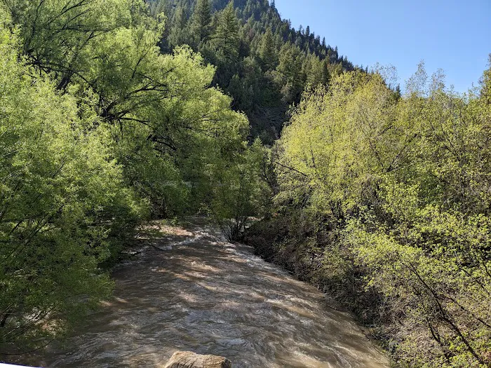 Wood Camp Campground Picture 3