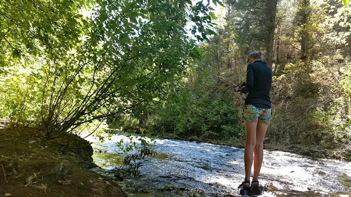 Wood Camp Campground Picture 4