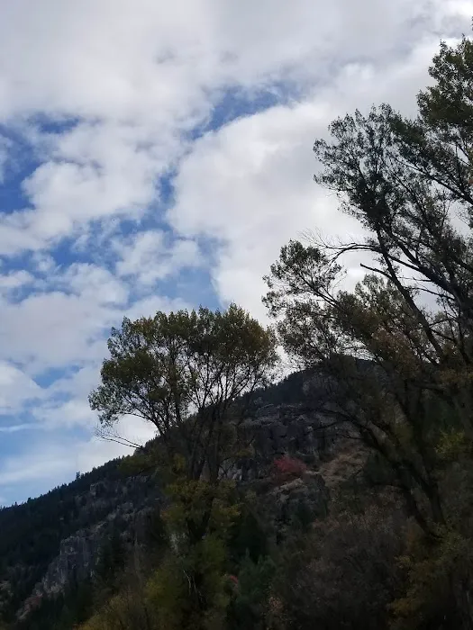 Wood Camp Campground Picture 5