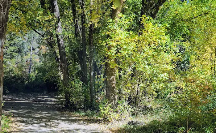 Wood Camp Campground Picture 10