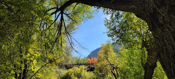 Wood Camp Campground Picture 8