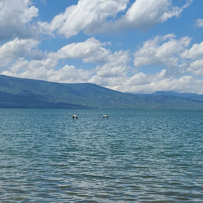 South Eden Campground Picture 10