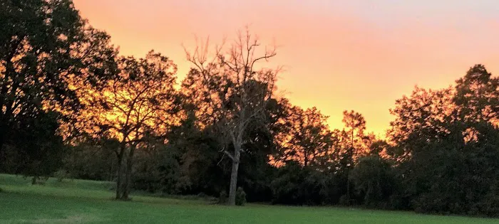 Pine Acres Campground RV Park Picture 6