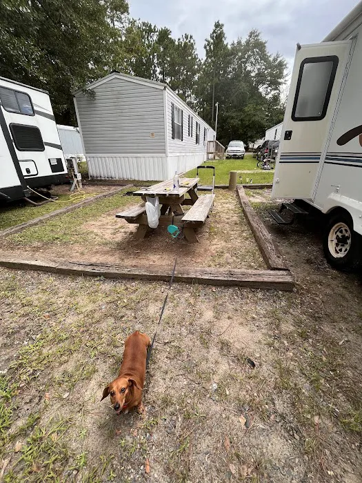 Pine Acres Campground RV Park Picture 4