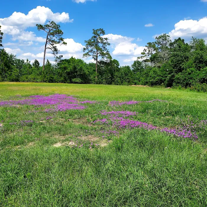 Pine Acres Campground RV Park Picture 10