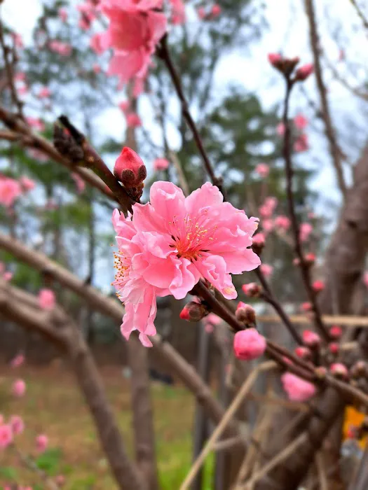 Westwood Manufactured Housing Community Picture 9