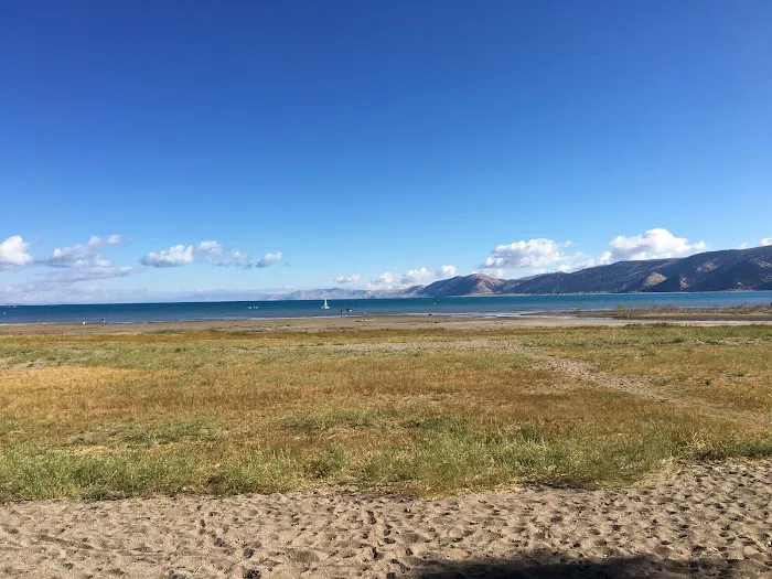 Cottonwood Campground Picture 1