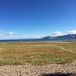 Cottonwood Campground