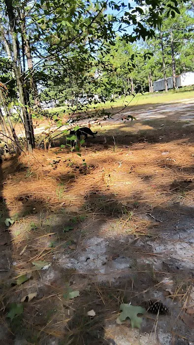 Big Country MHP Picture 2