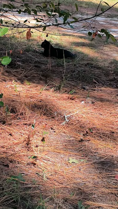 Big Country MHP Picture 5