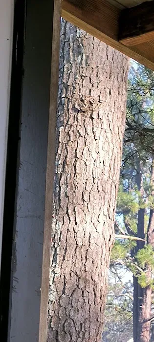 Big Country MHP Picture 4