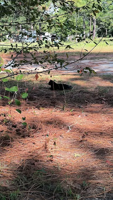 Big Country MHP Picture 6