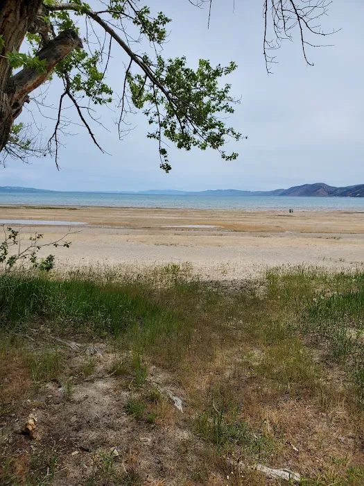 Cottonwood Campground Picture 5