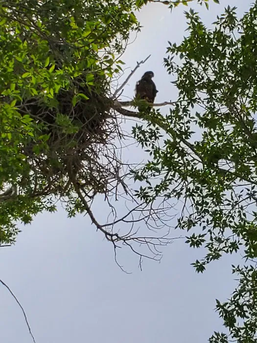 Cottonwood Campground Picture 6