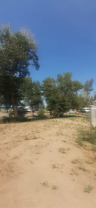 Cottonwood Campground Picture 9