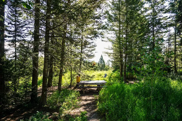 Sunrise Campground Picture 3