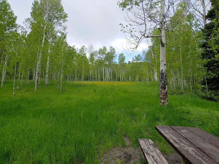 Sunrise Campground Picture 6