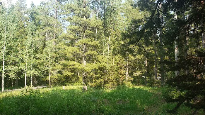 Sunrise Campground Picture 8