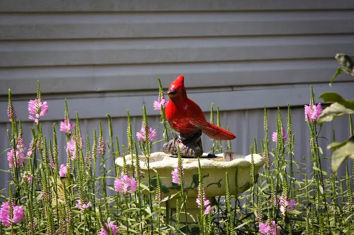 Arrowood Mobile Home Community Picture 6