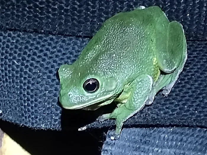 Arrowood Mobile Home Community Picture 9