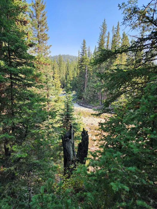 Fox Creek Campground Picture 3