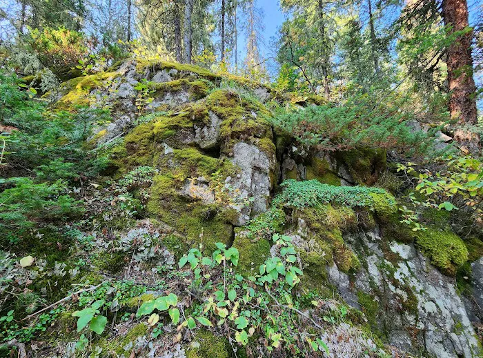 Fox Creek Campground Picture 2