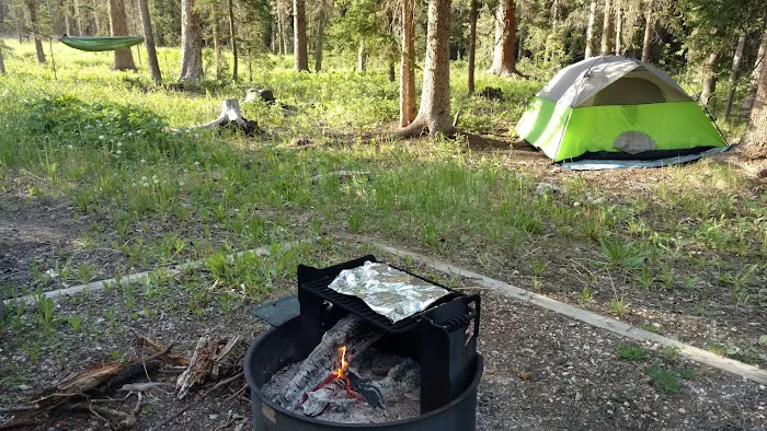 Fox Creek Campground Picture 8