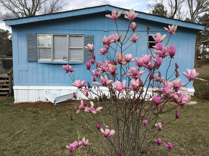 Pinederosa Park Picture 1