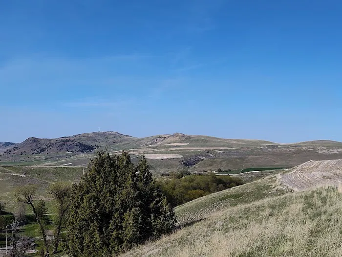 Camp Earley Park Picture 1