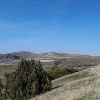 Camp Earley Park ico