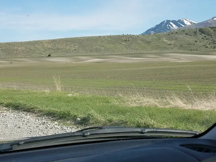 Camp Earley Park Picture 4