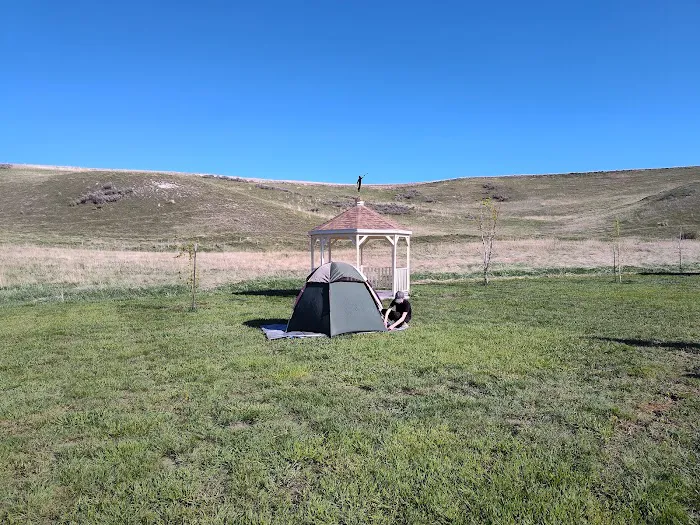 Camp Earley Park Picture 8