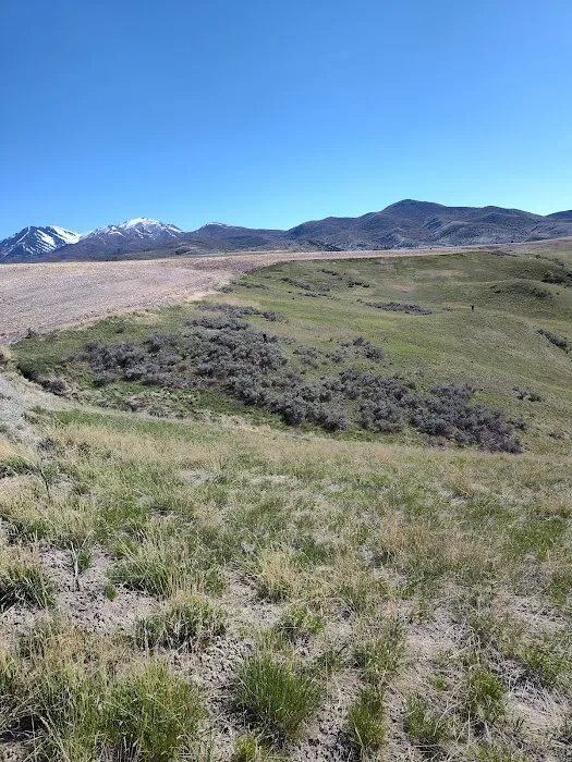 Camp Earley Park Picture 10