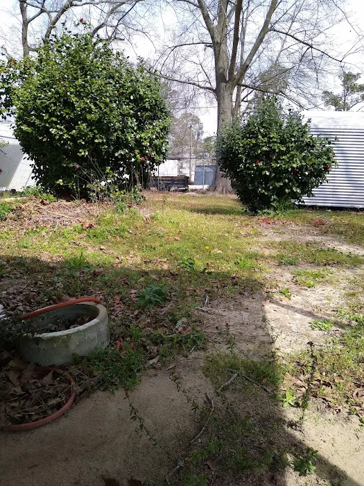 Reasonable Living Picture 5