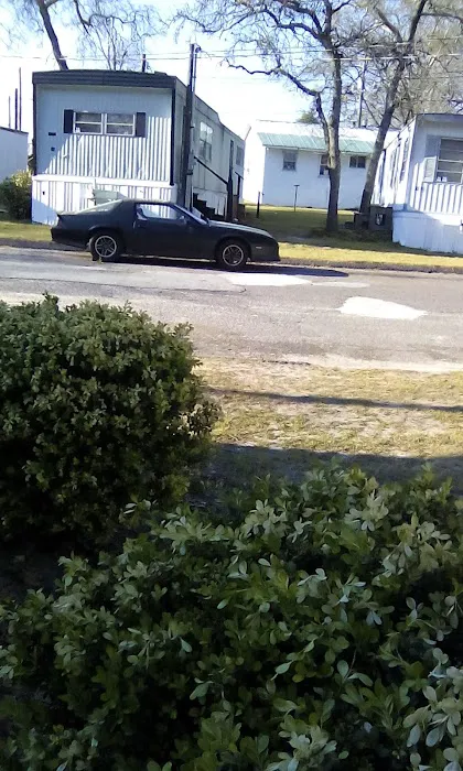 Reasonable Living Picture 7