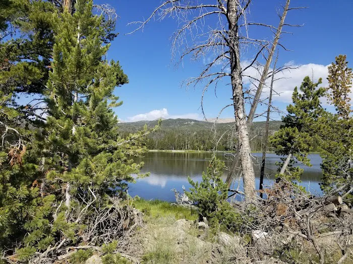 Fiddlers Lake Campground Picture 3