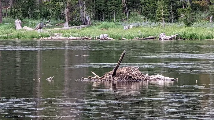 Fiddlers Lake Campground Picture 4