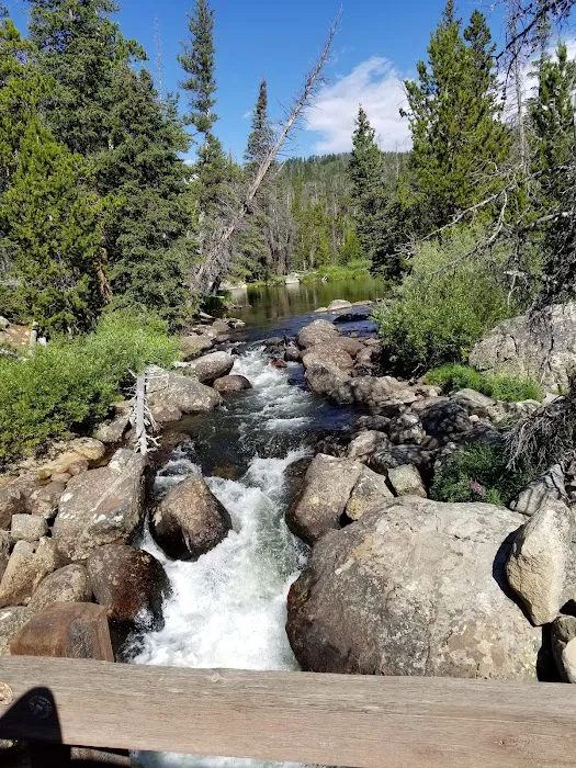 Fiddlers Lake Campground Picture 5