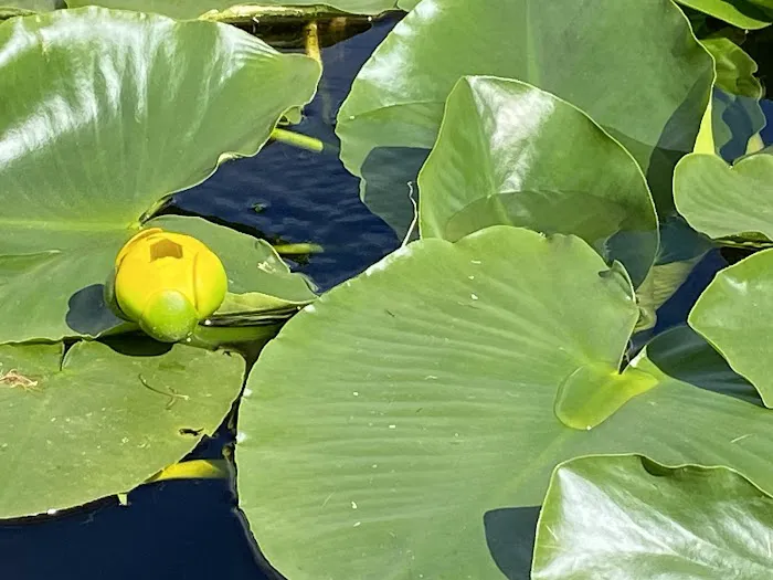 Fiddlers Lake Campground Picture 9