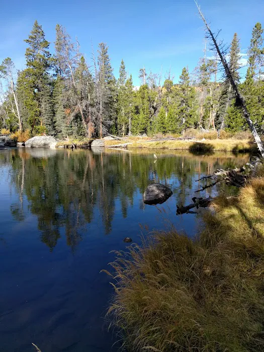 Little Popo Agie Campground Picture 1